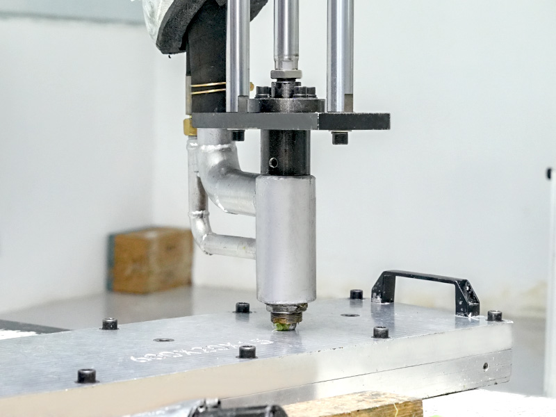 Thiết bị thực vật