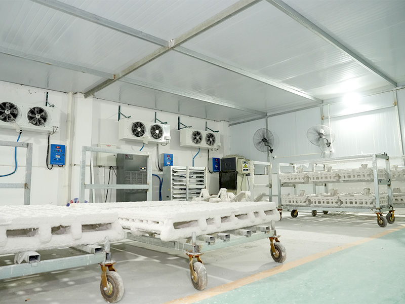 Thiết bị thực vật